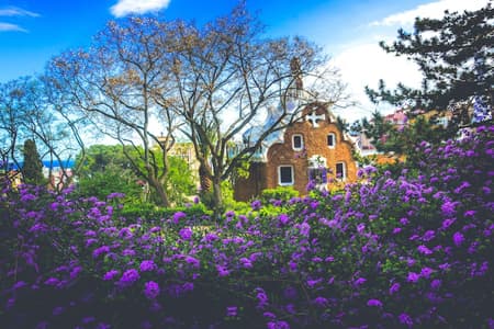 Giardino botanico
