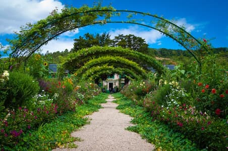 Botanischer Garten
