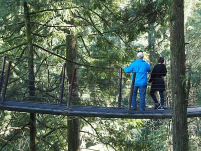 Go Ape Baumkronenpfad